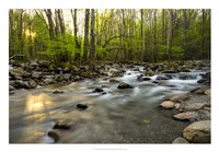 Morning Sunshine I Framed Print