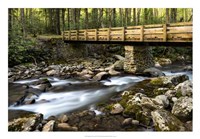 Bridge and Cascade I Framed Print