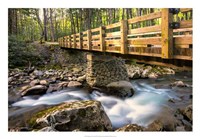Bridge and Cascade II Framed Print