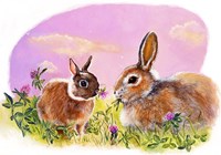 Evening Clover Meal Fine Art Print