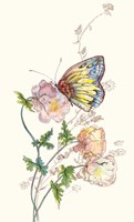Butterfly Design 2 Fine Art Print