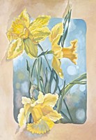Daffodils Fine Art Print