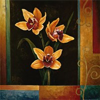 Yellow Orchids Fine Art Print