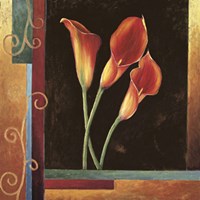 Orange Callas Fine Art Print