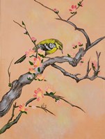 Bird In Cherry Tree Fine Art Print