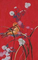 Bird On Red Fine Art Print