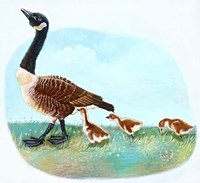 Mother Goose Fine Art Print