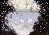Swan Lake Fine Art Print