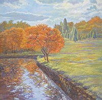 Autumn Cherry Trees Fine Art Print