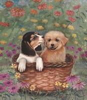 Beagle And Golden Retriever Fine Art Print