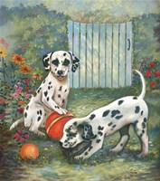 Dalmatians Fine Art Print