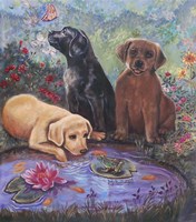 Labs Fine Art Print