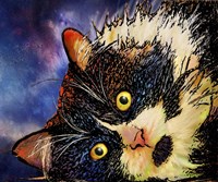 Beckham Fine Art Print