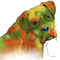 Boxer 2 Fine Art Print