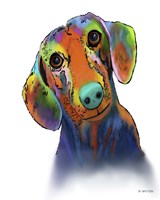 Dachshund 1 Fine Art Print