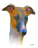 Greyhound 1 Fine Art Print