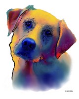 Labrador Yellow 1 Fine Art Print