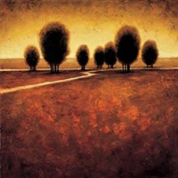 Illumination Fine Art Print