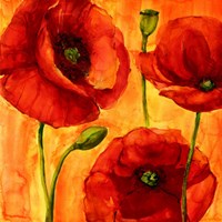 Coquelicots IV Fine Art Print