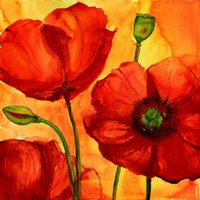 Coquelicots II Fine Art Print