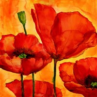 Coquelicots I Fine Art Print