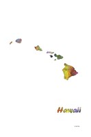Hawaii State Map 1 Fine Art Print