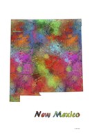 New Mexico State Map 1 Fine Art Print