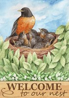 Robin Welcome Fine Art Print