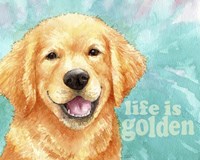 Life Is Golden Retriever Fine Art Print