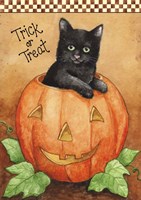Trick Or Treat Black Cat Fine Art Print
