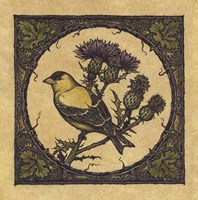 Apple Grossbeak Bird Fine Art Print