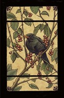 Apple Raven Fine Art Print