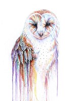 Barred Rainbow Owl Fine Art Print
