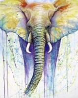 Elephant Colors Fine Art Print