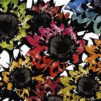 Sunmesh I Fine Art Print