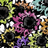 Sunmesh II Fine Art Print