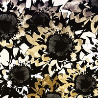 Sunmesh III Fine Art Print