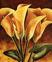 Calas Fine Art Print