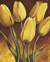 Tulpen Fine Art Print