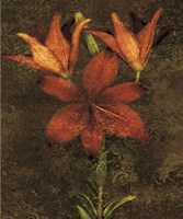 Red Lilies Fine Art Print