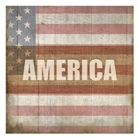 Americana 1 Framed Print