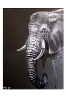Elephant Grounds 1 Fine Art Print