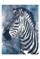 Grey Blue Zebra Framed Print