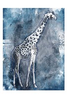 Grey Blue Giraffe Framed Print