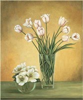 Tulipes Blanches Fine Art Print
