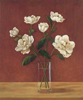 Fleurs de Magnolias Fine Art Print