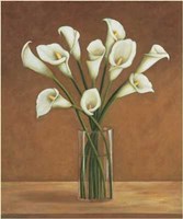 Callas Dans un Vase Fine Art Print