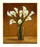 Callas Dans un Vase Fine Art Print