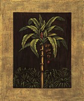 Tropical Paradise II Fine Art Print