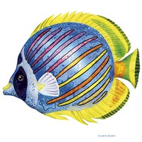 Fish 1 Blue-Yellow Framed Print